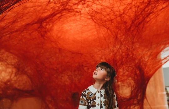 Fly Sunshine Coast to Adelaide from $115^