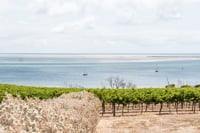 BayofShoalsKIbyMeaghanColes