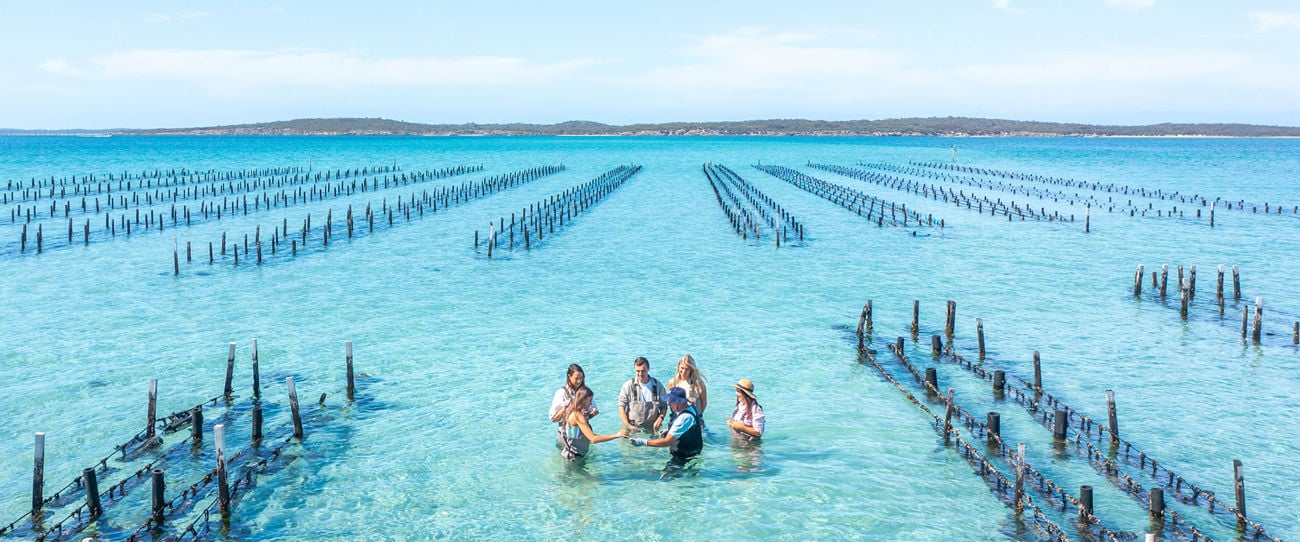 Experience Coffin Bay, Eyre Peninsula