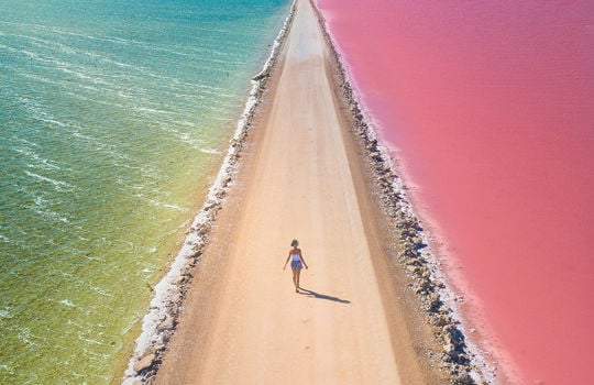 Fly Cairns to Adelaide from $188^