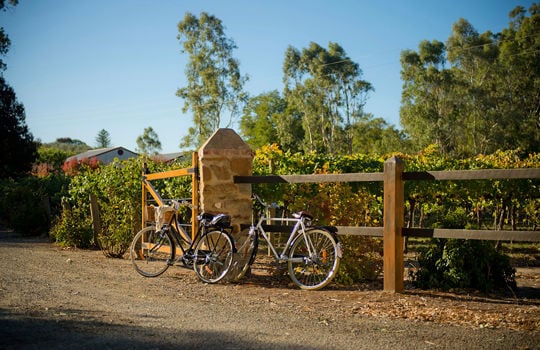 Fly Gold Coast to Adelaide from $140^