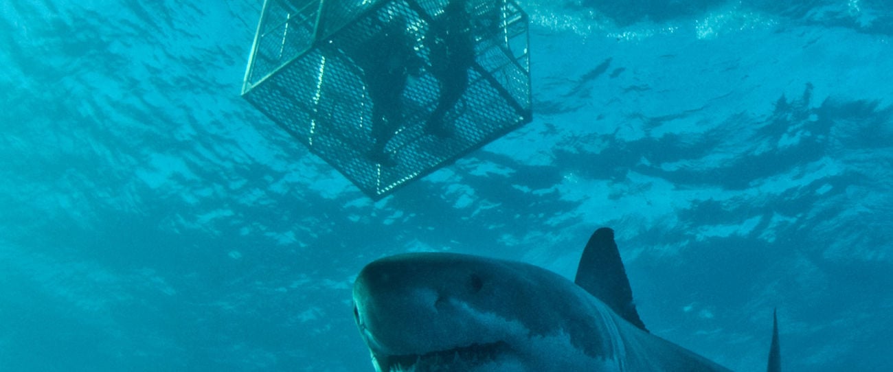 Rodney Fox Shark Expeditions, Eyre Peninsula