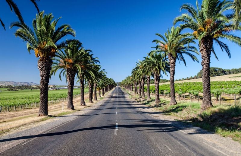 Seppeltsfield Road Barossa