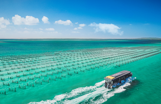 Eyre Peninsula Escape